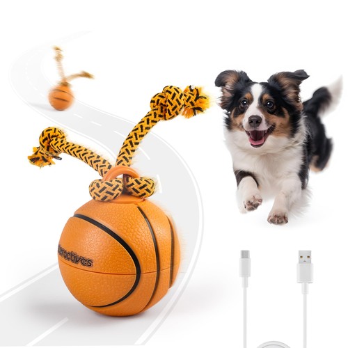 All for paws interactive - paws,