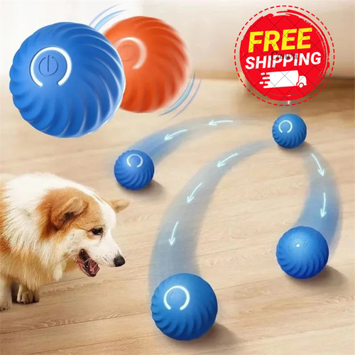 Smart interactive dog toy - interactive,