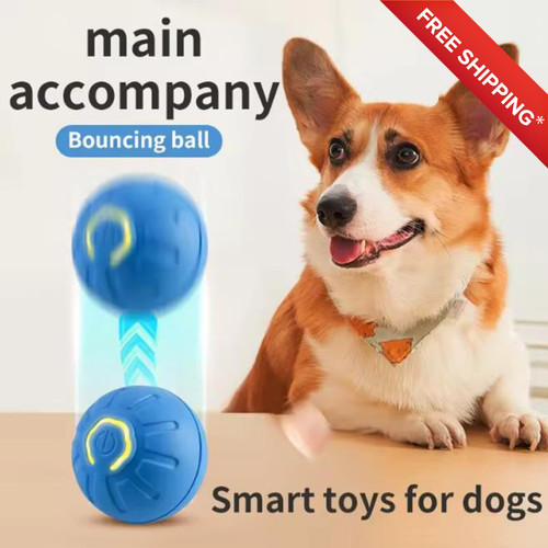 Electronic pet toy - electronic, ball