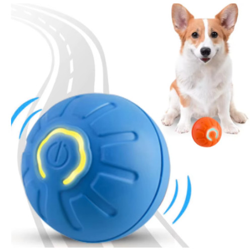 Smart interactive dog toy - smart,