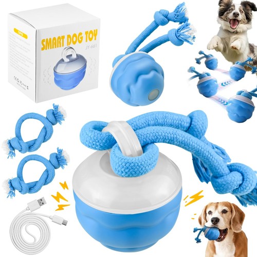 Interactive dog ball toy - dog, smart