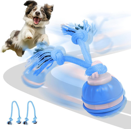 Interactive moving dog - interactive,