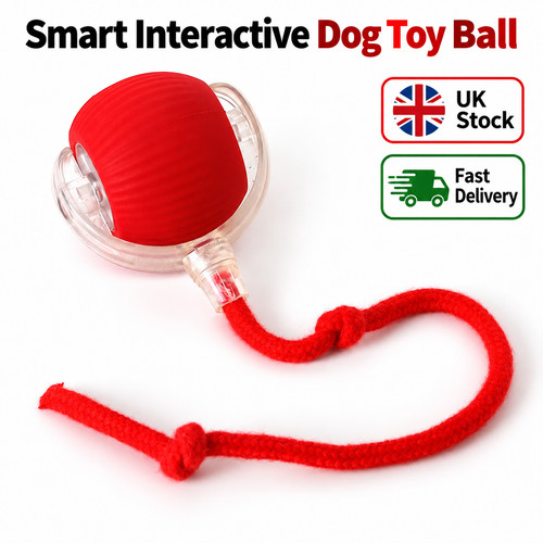 Smart interactive dog toy ball - toy,