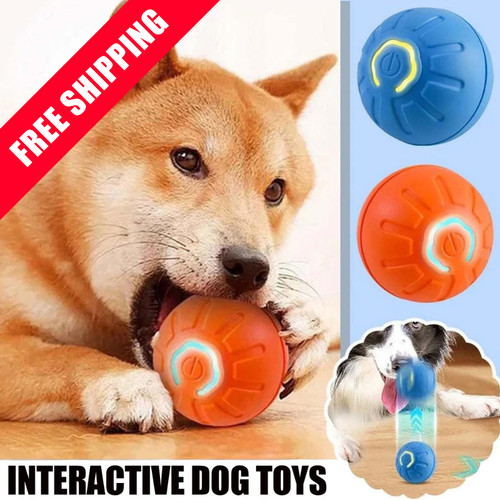 Interactive pet toy - pet, ball