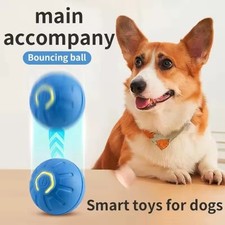 Smart Interactive Dog Toy Ball