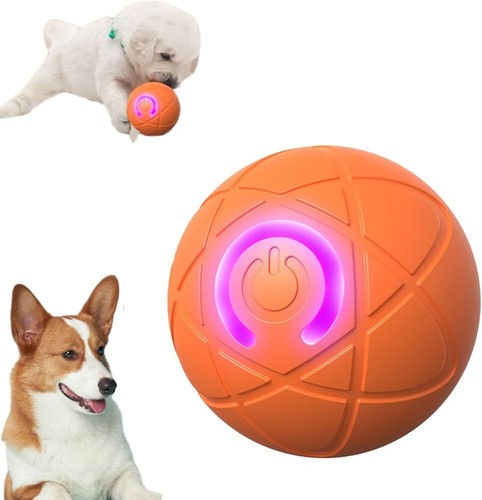 Smart dog puppy - bouncing, toy