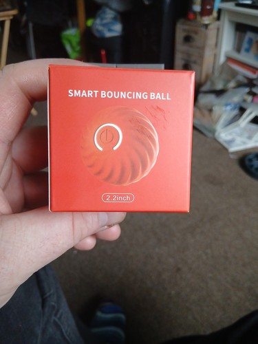 Smart dog toy ball automatic - toy,