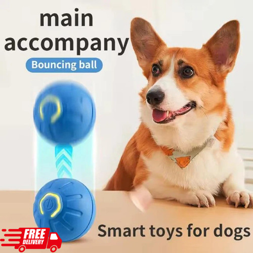 Smart dog puppy bouncing toy - smart,