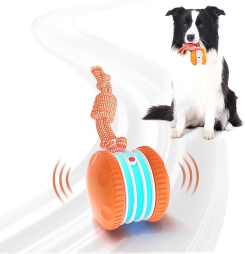 Interactive dog ball - dog, ball,