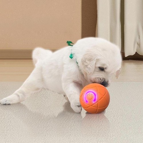 5xdog toy ball - 5xdog, usb