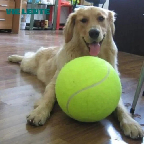 24cm puppy toys large - toys,