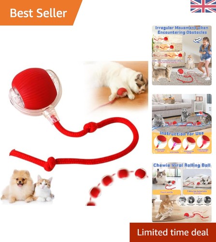 Interactive dog ball toys - ball,